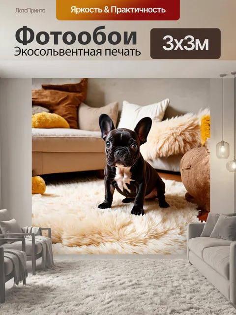 Фотообои симпатичный французский бульдог