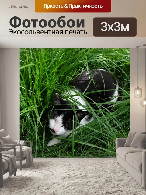 Фотообои Трава