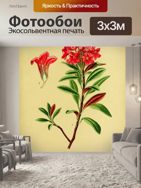 Фотообои Цветок красный винтаж арт