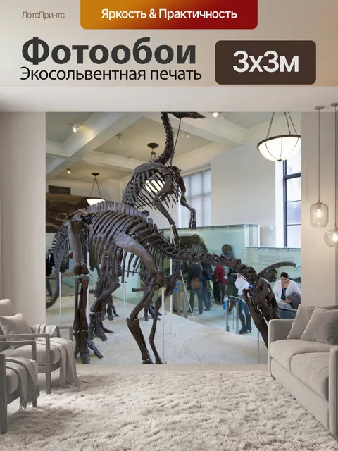 Фотообои Американский музей естественной истории