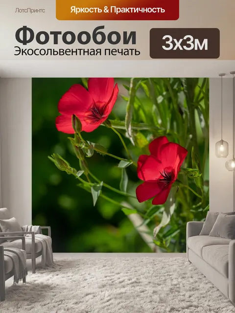 Фотообои Малиновый цвет