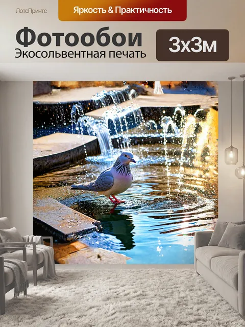 Фотообои голубь, задумчиво сидящий на краю уличного фонтана, окружённый чистыми каплями воды, отражает солнечные…