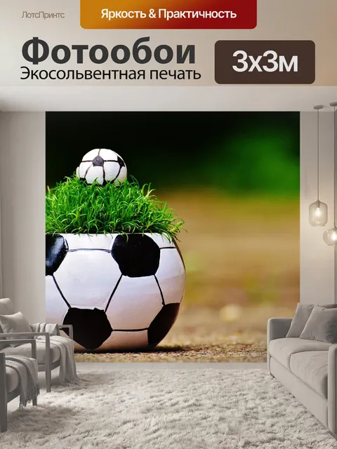 Фотообои Чемпионат европы