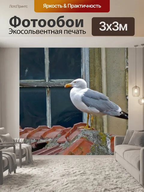 Фотообои Чайка