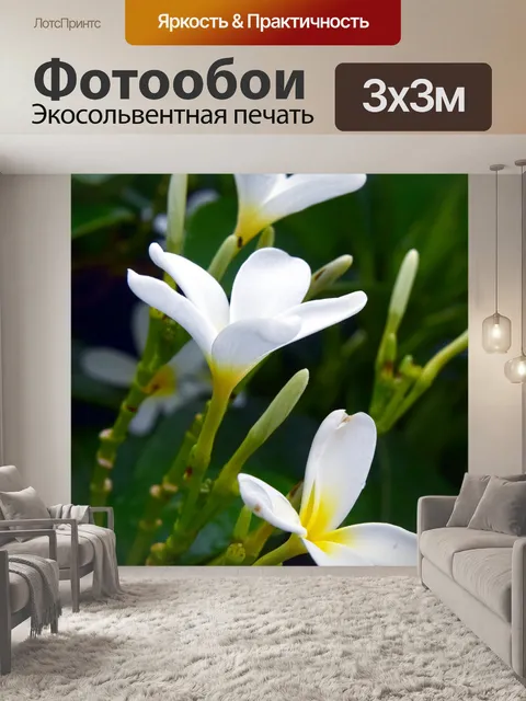Фотообои Цветы пагоды 2