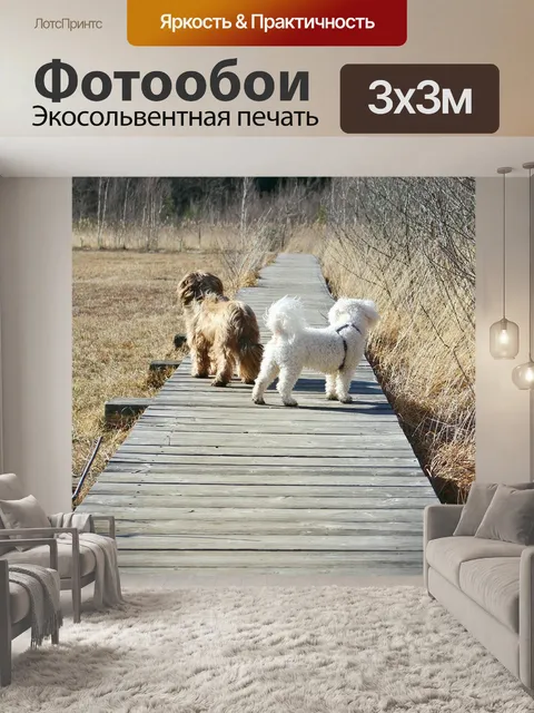 Фотообои Собаки