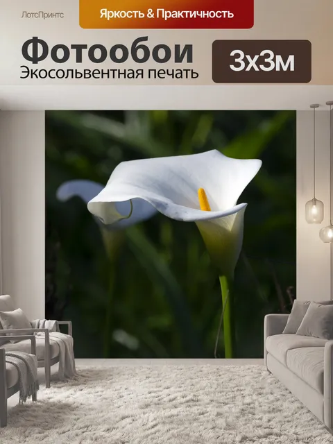 Фотообои белая лилия