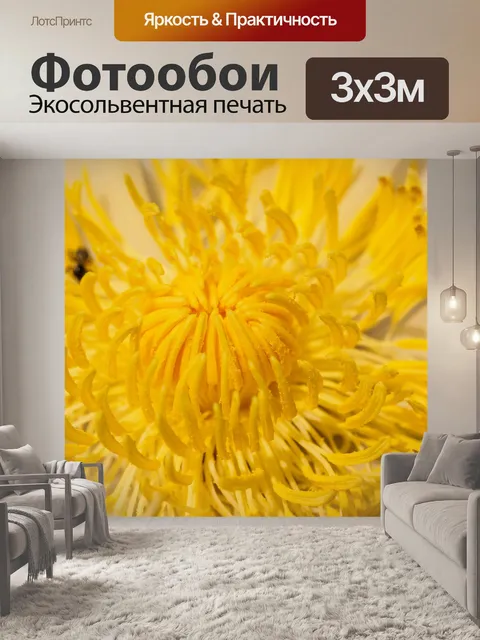 Фотообои Красивый цветок лотоса кувшинки