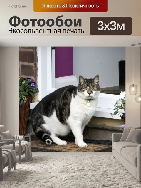 Фотообои Кошка на коврике