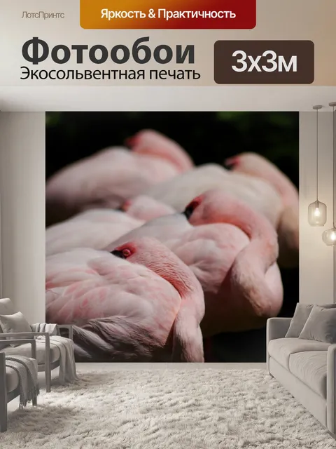 Фотообои Розовые фламинго