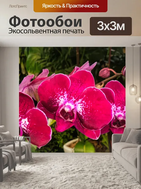 Фотообои Цветы