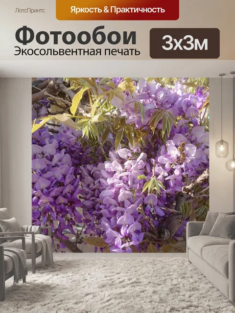 Фотообои Глициния