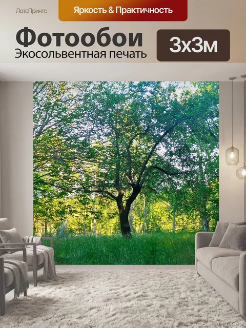 Фотообои дерева