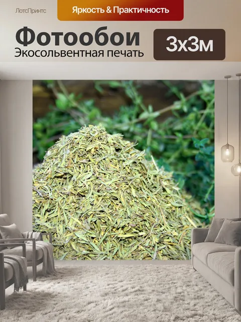 Фотообои сушеные и свежие травы