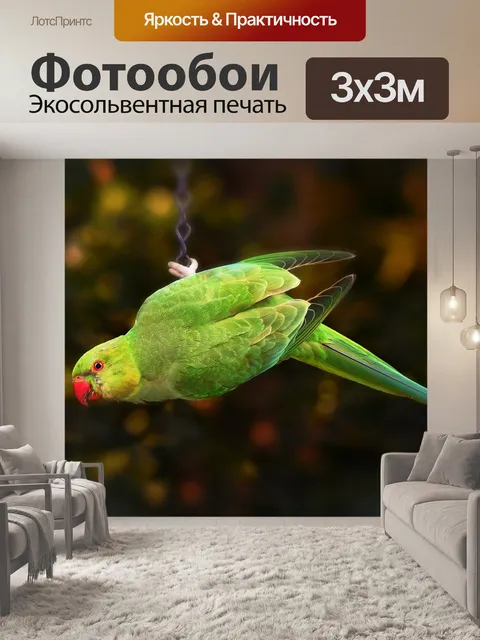 Фотообои Кольцо шеей попугай