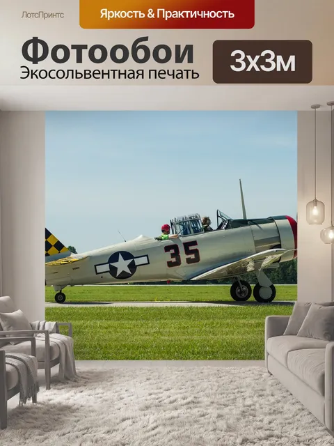 Фотообои Военная птица