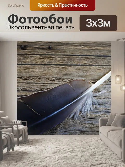 Фотообои белое перо на сером перо перо