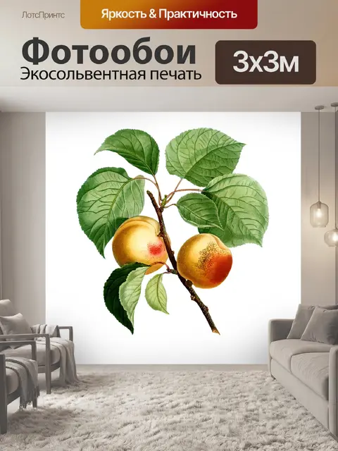 Фотообои Винтаж Клипарт Фруктовые персики