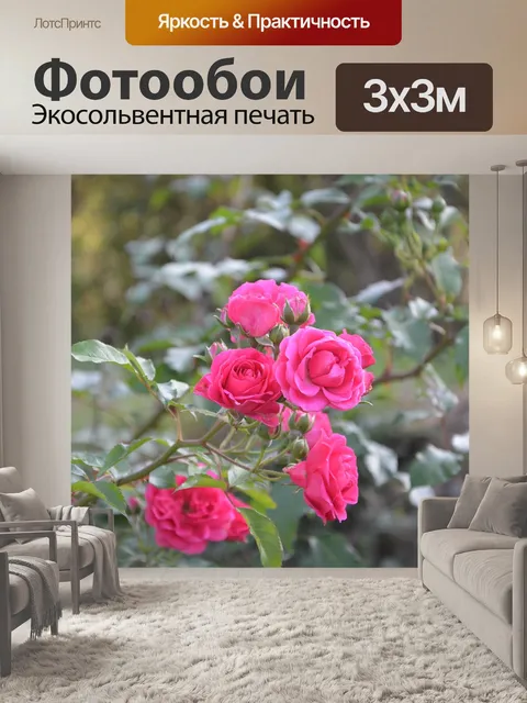 Фотообои Розы