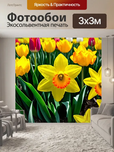 Фотообои цветы с яркими цветами нарциссов и тюльпанов, символизирующими весеннее пробуждение природы