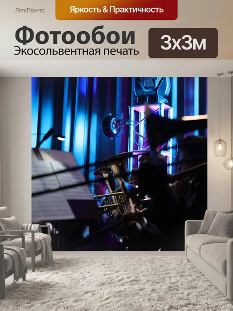 Фотообои Выступление