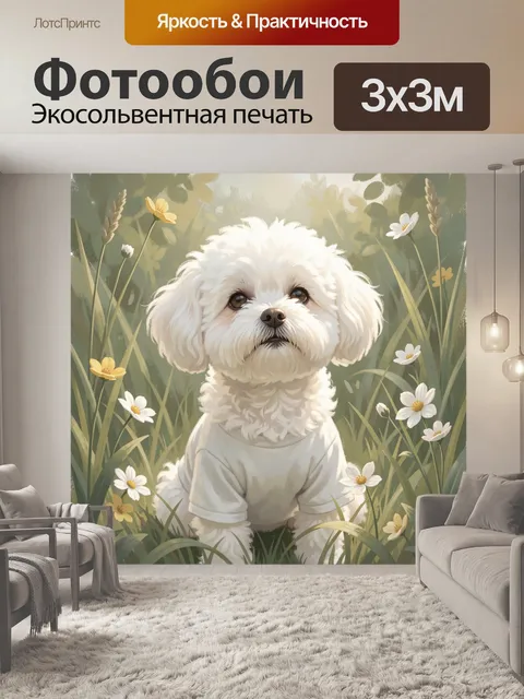 Фотообои Белый пудель в цветущем поле