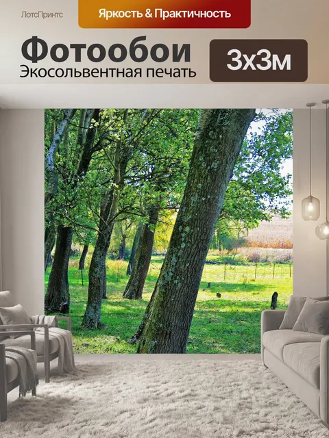 Фотообои Скопление деревьев и травы