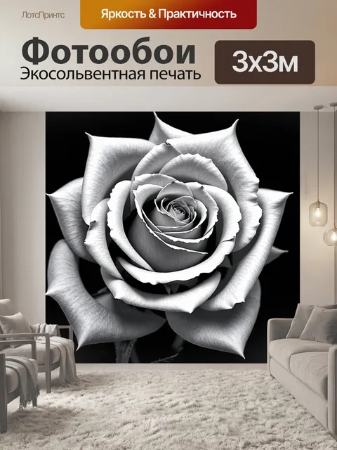 Фотообои розы в стиле черно-белый