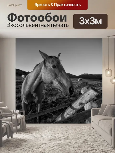 Фотообои Черно-Белая лошадь