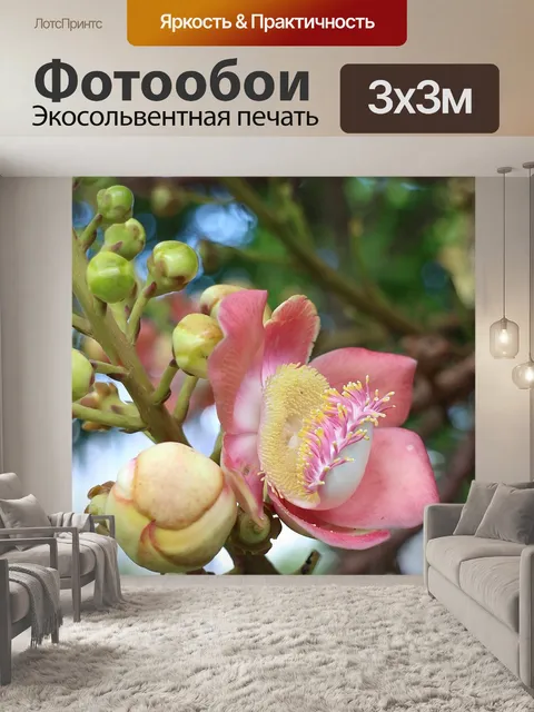 Фотообои Пушечное ядро