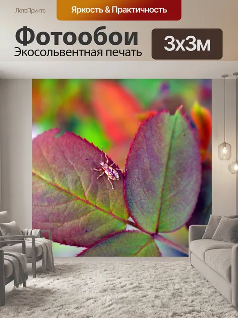 Фотообои Жук
