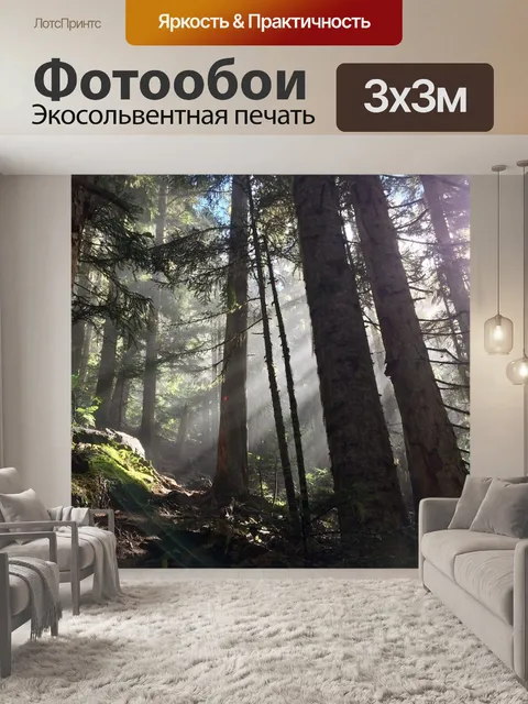 Фотообои Лес