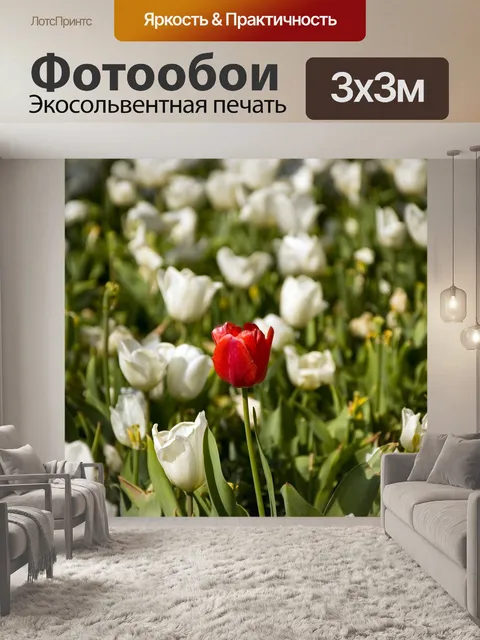 Фотообои Белый