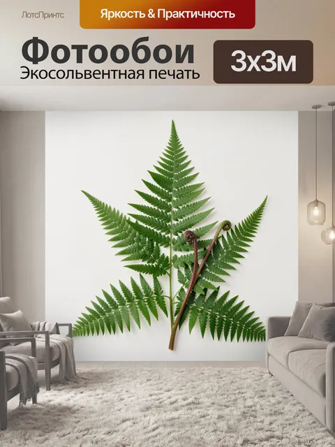 Фотообои Зеленые листья папоротника