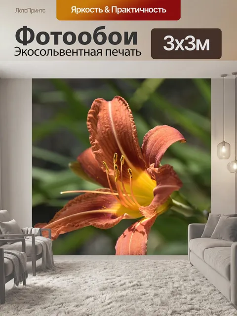 Фотообои Цветок