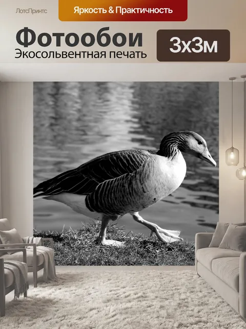 Фотообои Утка