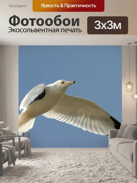 Фотообои Птица