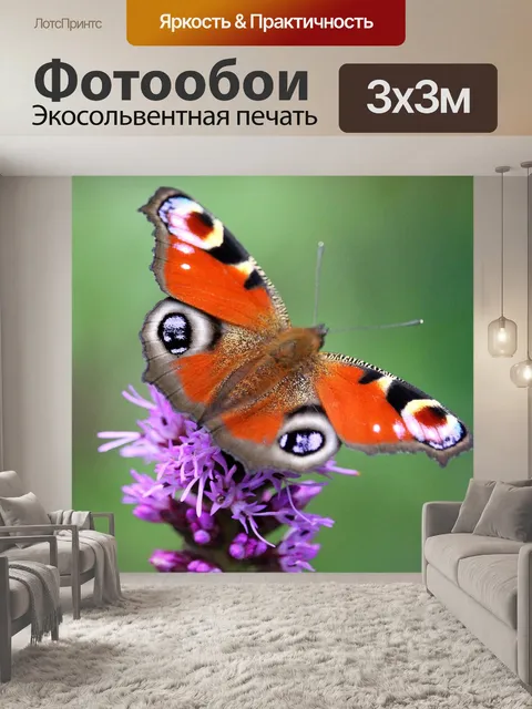Фотообои Павлинья бабочка