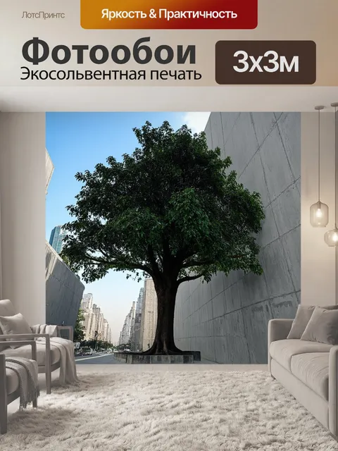 Фотообои стремительное дерево, вырастающее между бетонными стенами в современном городе