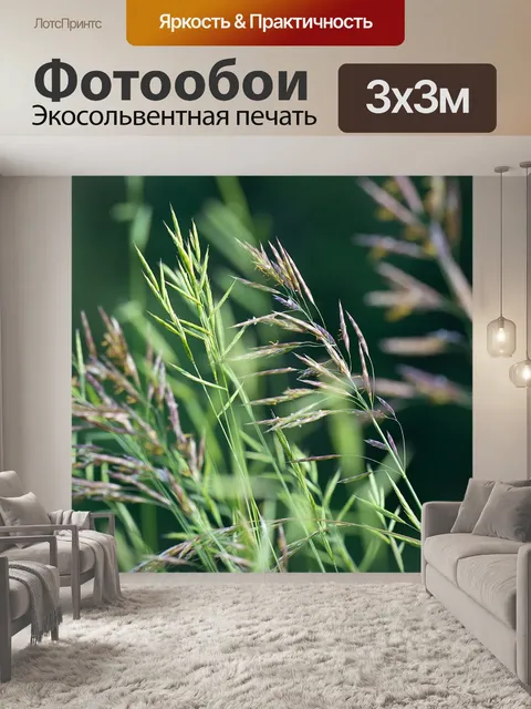 Фотообои Травы