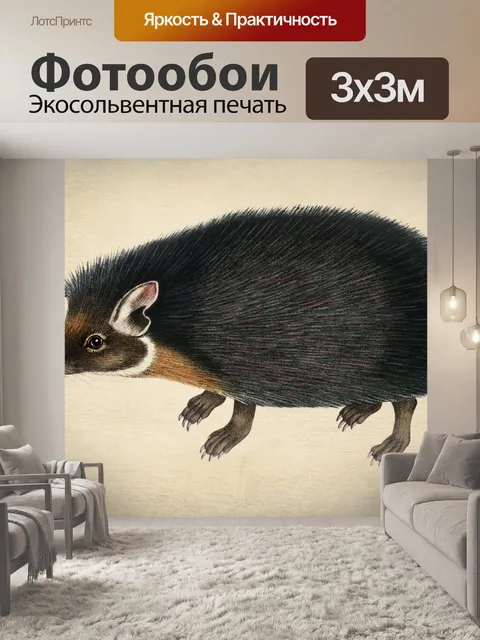 Фотообои Винтажное искусство иллюстрации ежа