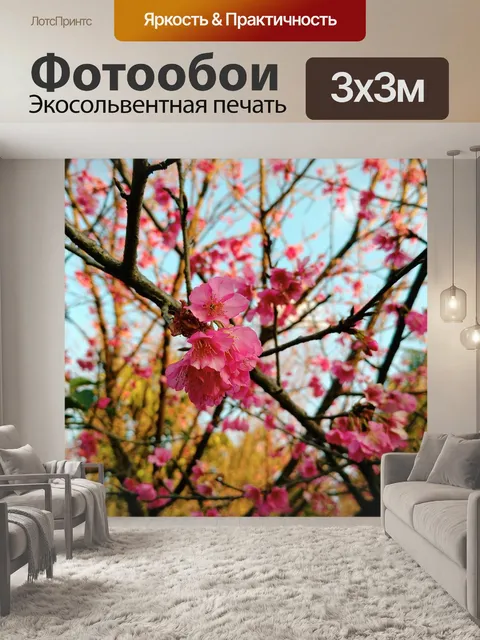 Фотообои Сакура