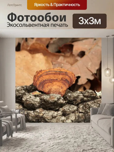 Фотообои Коричневый цвет