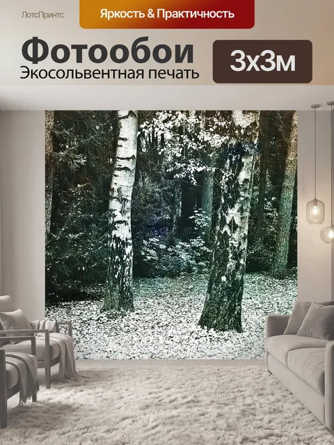 Фотообои Березы
