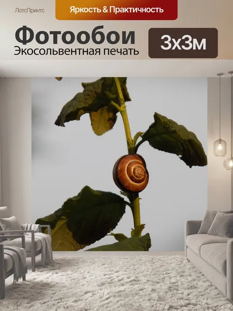 Фотообои Улитка