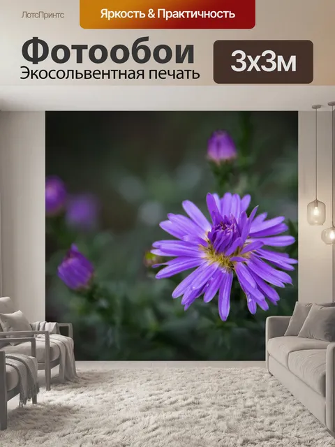Фотообои Фиолетовый цветок, Астра