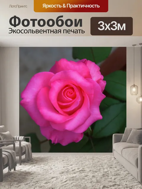 Фотообои Молоко розовый