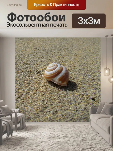Фотообои Морская ракушка