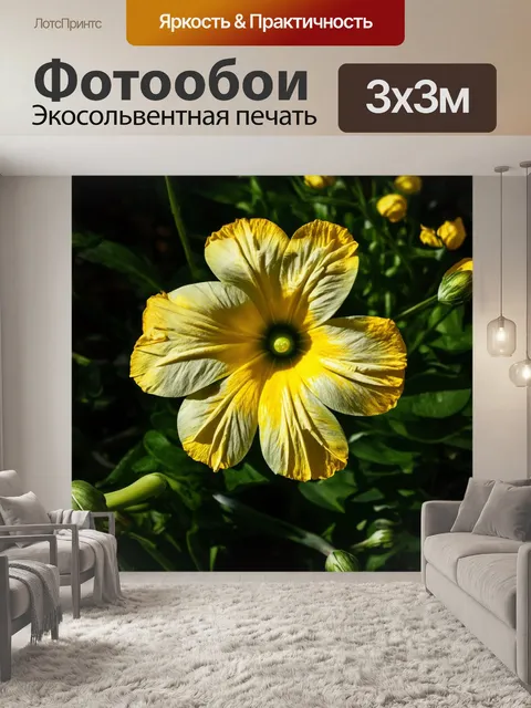Фотообои цветы в стиле эгон шиле, с игрой света и тени, усиливающей объем цветочных элементов
