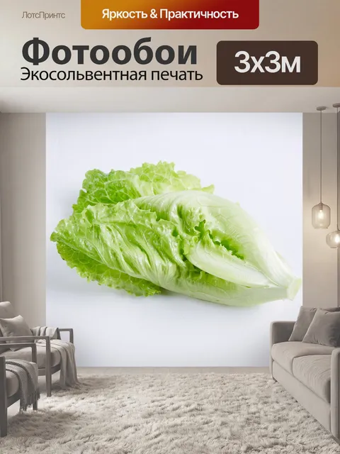 Фотообои Зеленые овощи